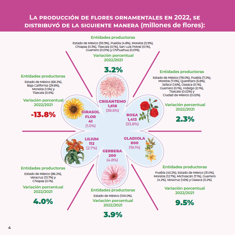 Al Edomex nadie le quita lo “romántico” en la producción de flores