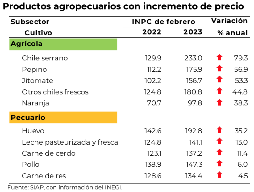 Precios de agroalimentos, presionados por bajas cosechas; en Edomex, producción de papa se desplomó