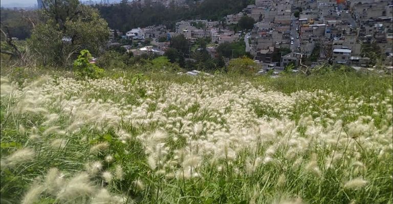 Cerro Mazapán