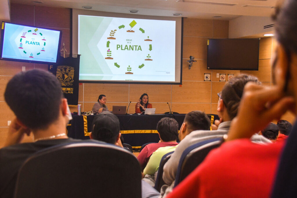 Aprenden a cultivar por medio de Hidroponia