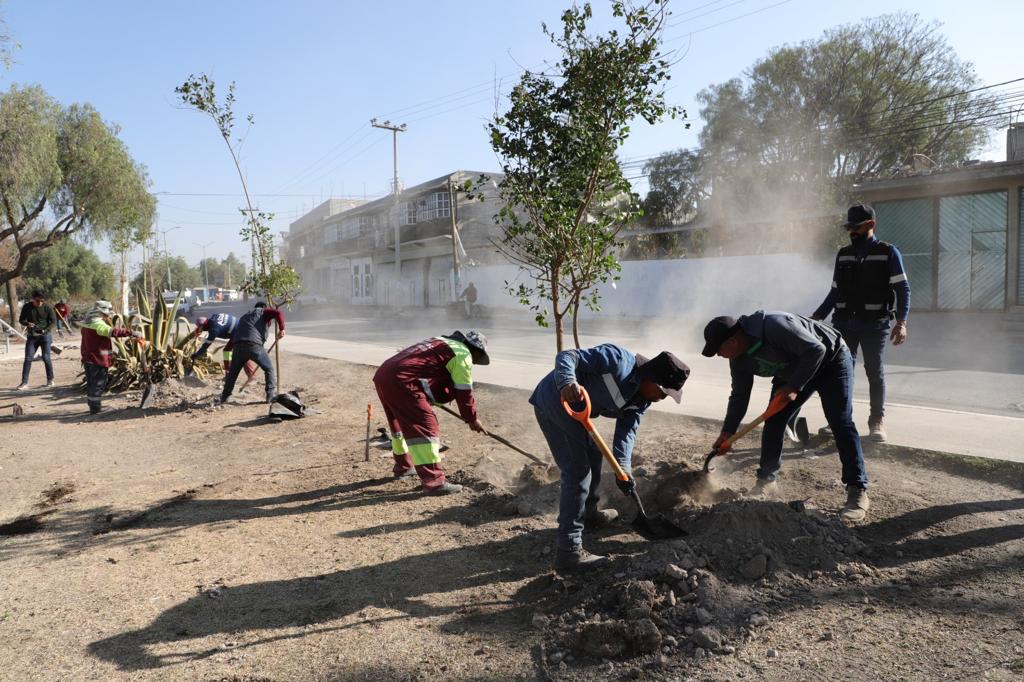 Arborización Tecámac