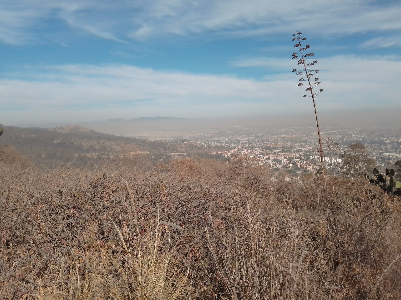 Sequía Sierra de Guadalupe