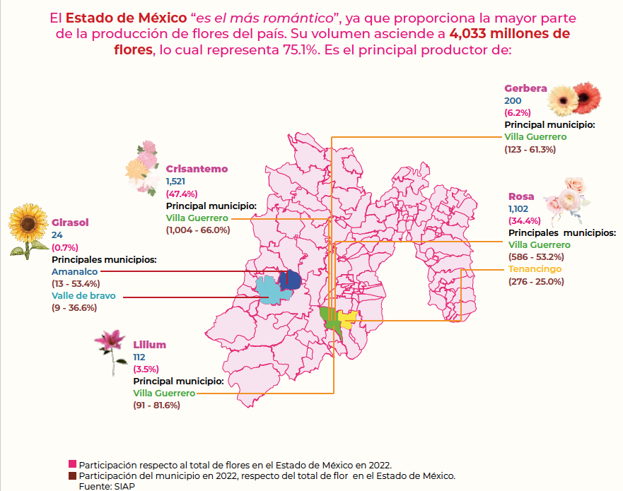 Edomex, con gran producción de flores de ornamento para festejos