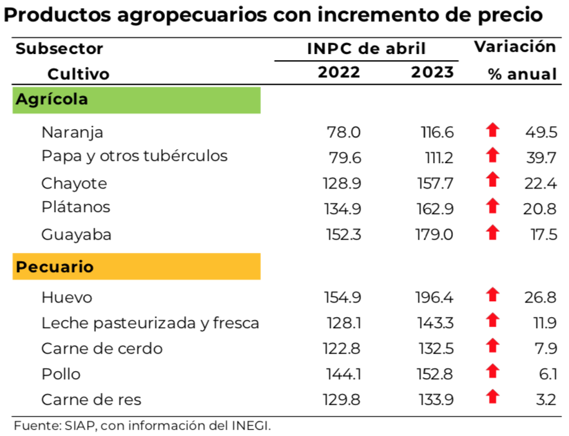 Huevo y leche encabezaron aumentos de productos pecuarios