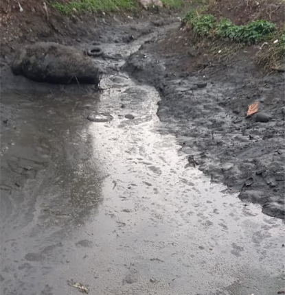 Los Acuales represa