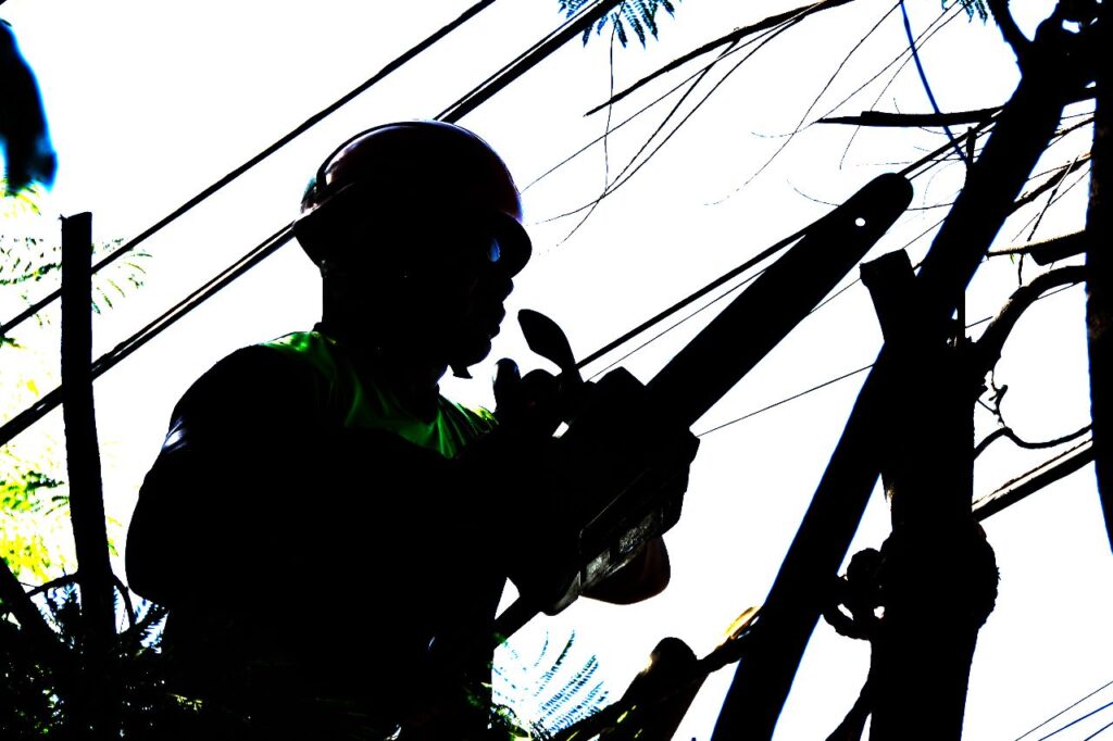 Podan 315 árboles para brindar seguridad a ciudadanos, en Ecatepec