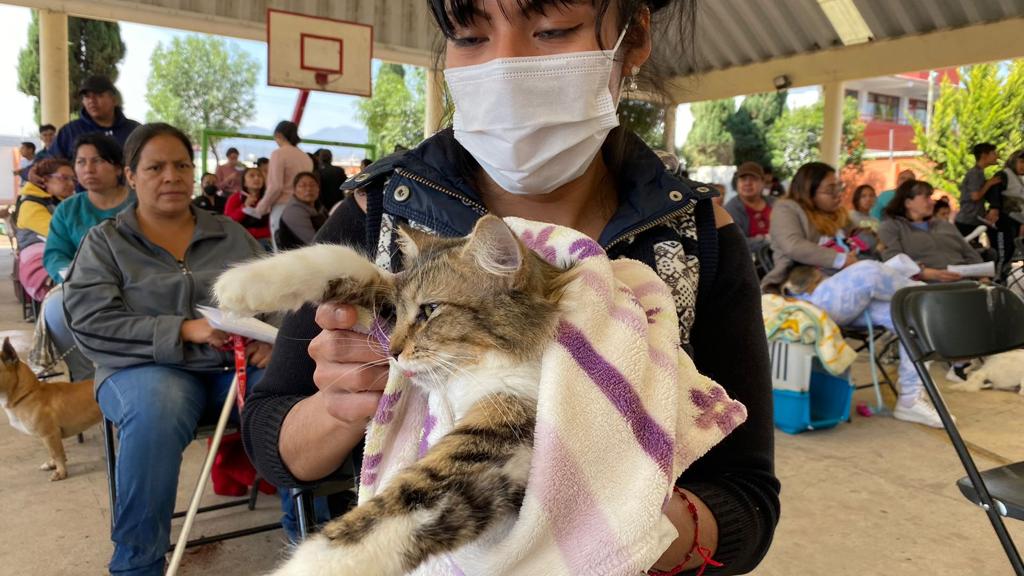 Esterilización Tecámac