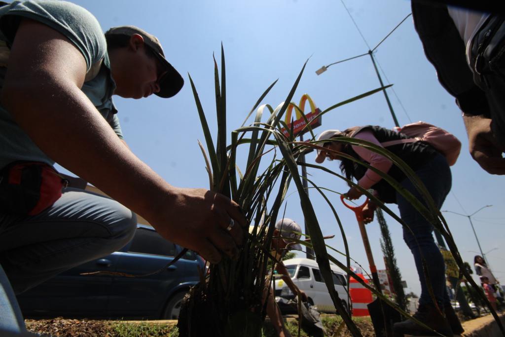 Reforesta Chima