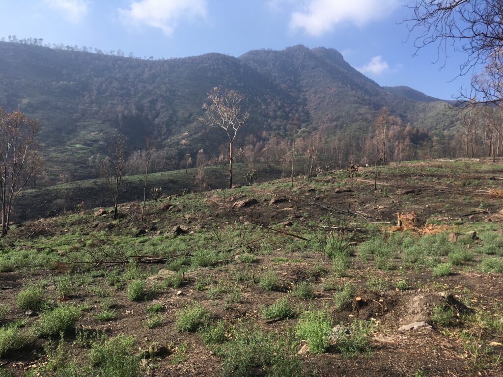 Sierra de Guadalupe-Las Candias