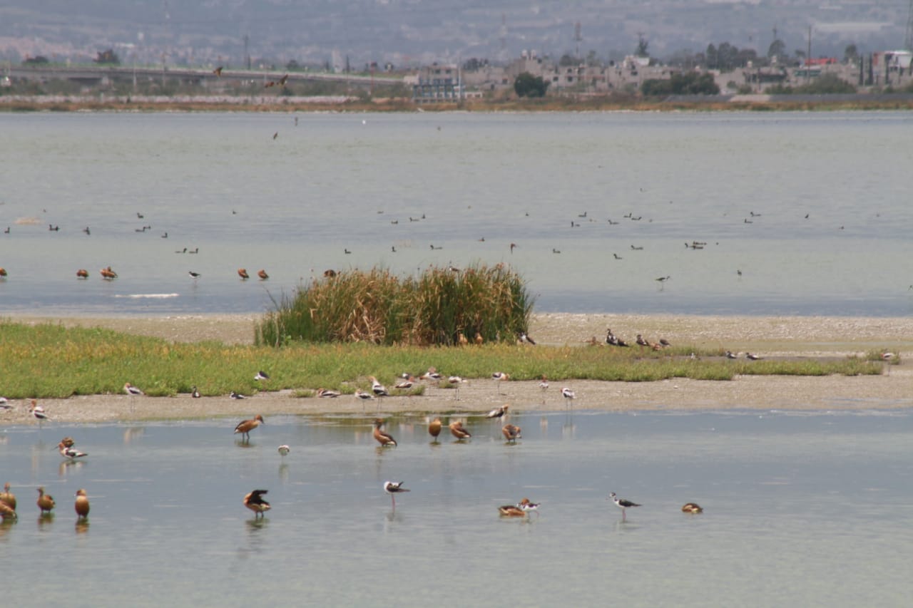 Lago Nabor Carrilo