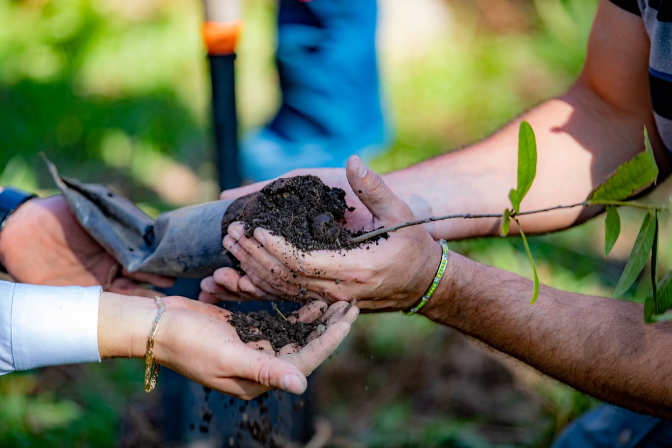 Reforestan Coacalco