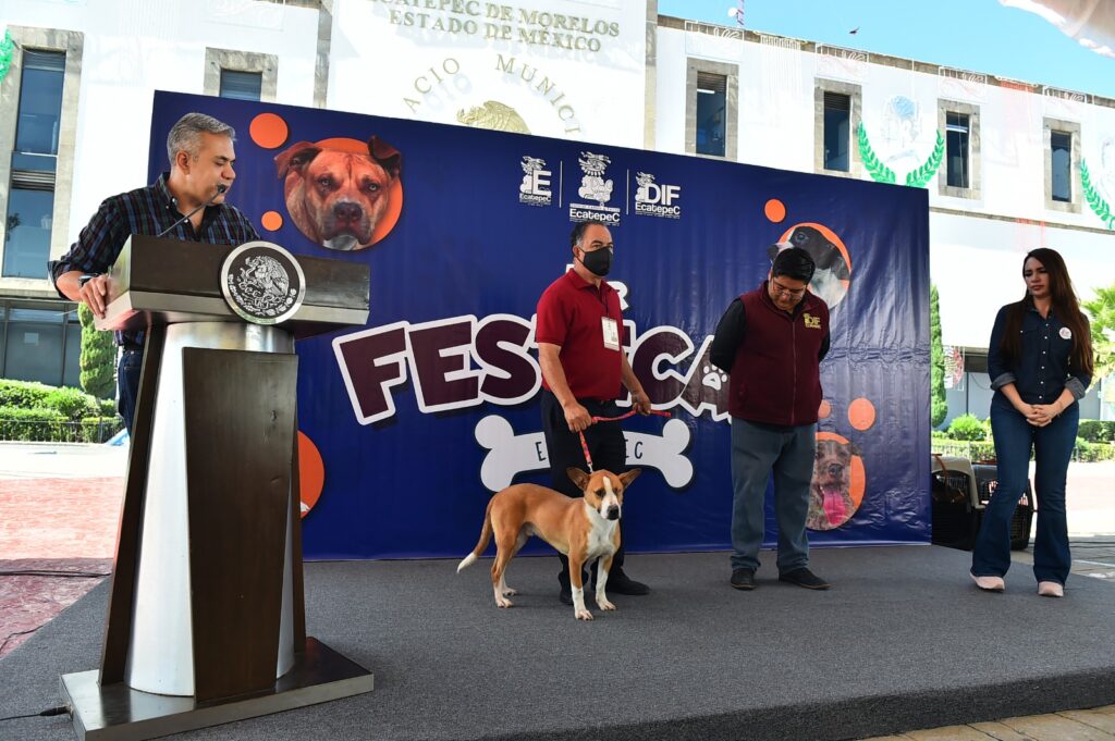 Ecatepec: organizan primer «Festican» para esterilizar a mil 300 mascotas, recaudar alimento y promover adopción de perros y gatos