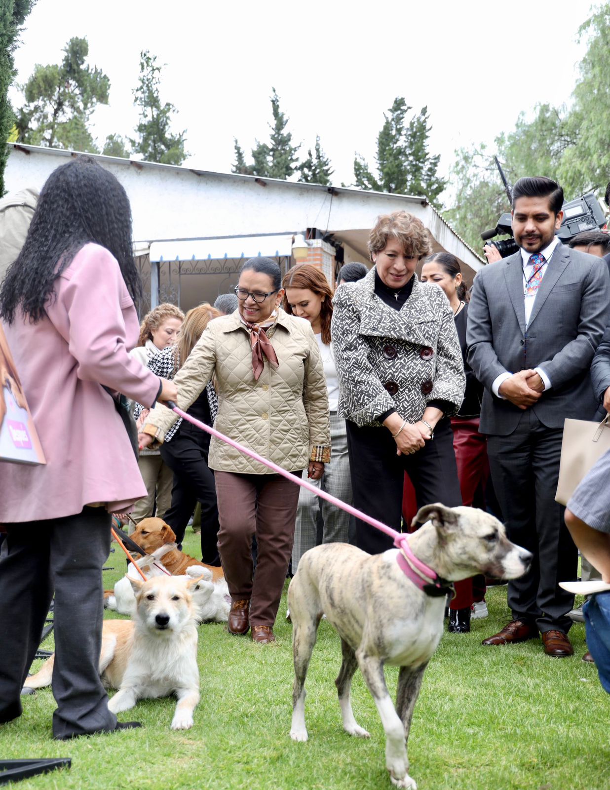 Decálogo Animal Edomex