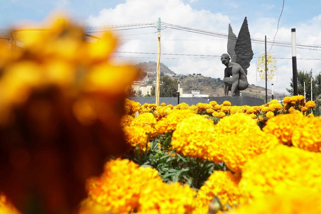 Ecatepec: utilizan 69 mil macetas de cempasúchil en siete mega ofrendas por Día de Fieles Difuntos