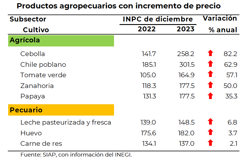 Menor producción disparó precios de frutas y hortalizas; en Edomex, por las nubes