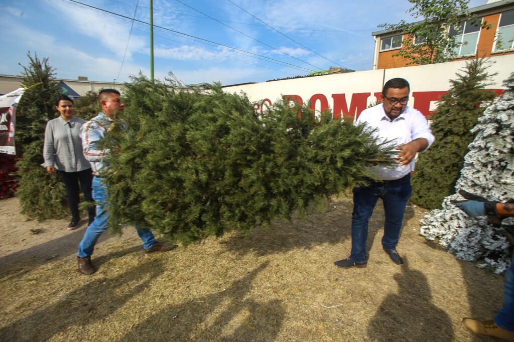 Instalaron cuatro centros de acopio para reciclar árboles navideños, en Ecatepec