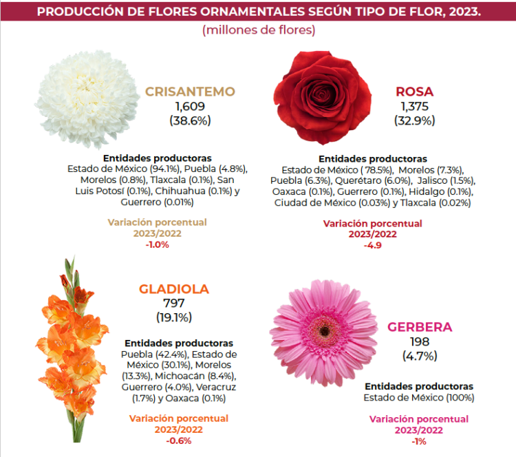 Se redujo producción de flores ornamentales en 2023; Edomex, líder en el país