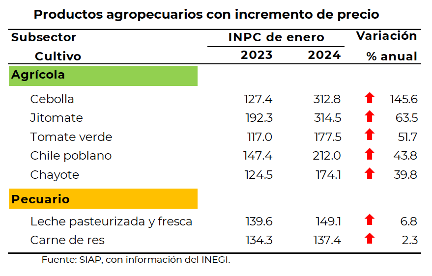 Efecto “pico de gallo” impactó inflación; Edomex redujo producción de papa