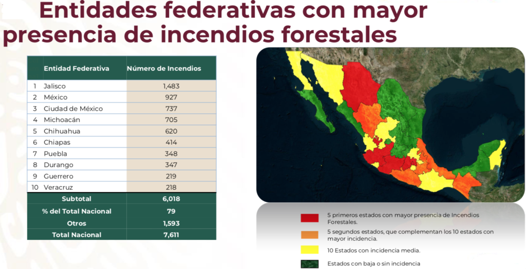 Piden castigos severos por incendios provocados en bosques de Edomex