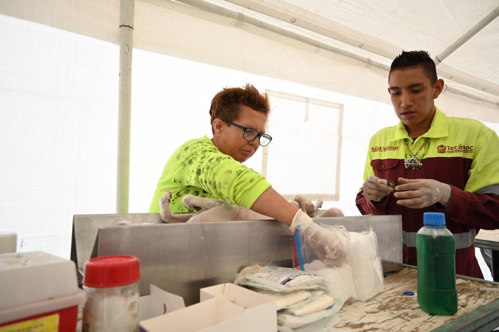 Esterilización Tecámac