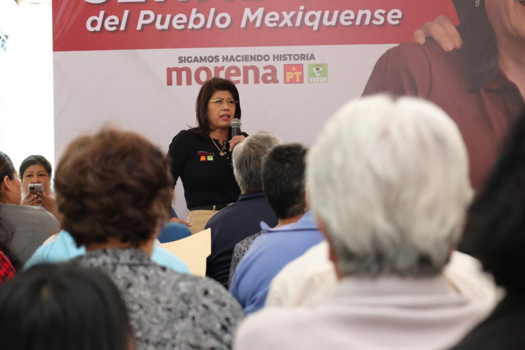 Reforzarán campañas a diputaciones y alcaldías de Morena en Edomex