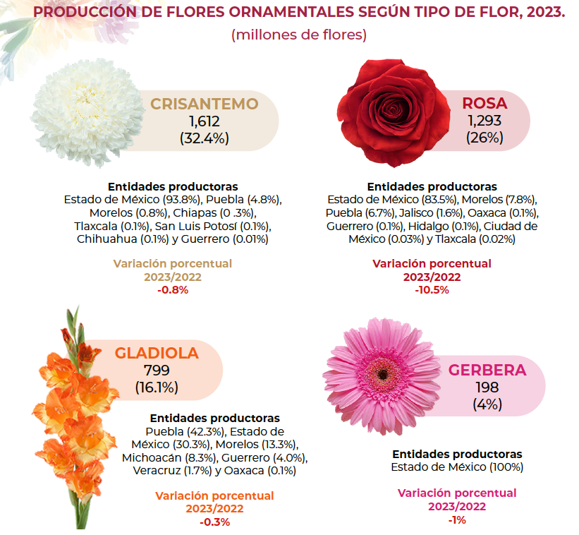 Flores de ornamento