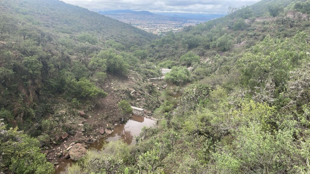 Gavión presas Ecatepec