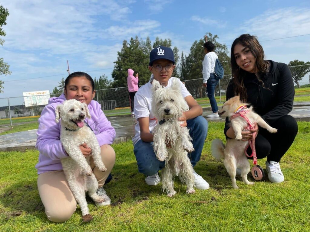 Bienestar animal, prioridad en Tecámac; fomentan adopción responsable