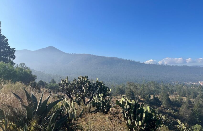 Sierra endémicos