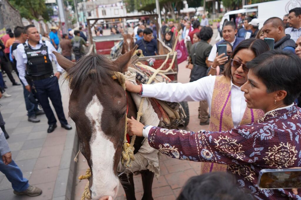 Chimalhuacán: jubilan a equinos como “Chilindrino” y “Astro” con programa de Sustitución de Animales de Tracción