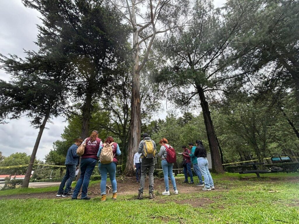 Obtiene Tecámac certificación sobre arbolado y manejo de áreas verdes