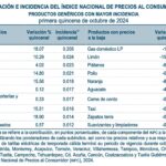 INPC-1Q-OCT24