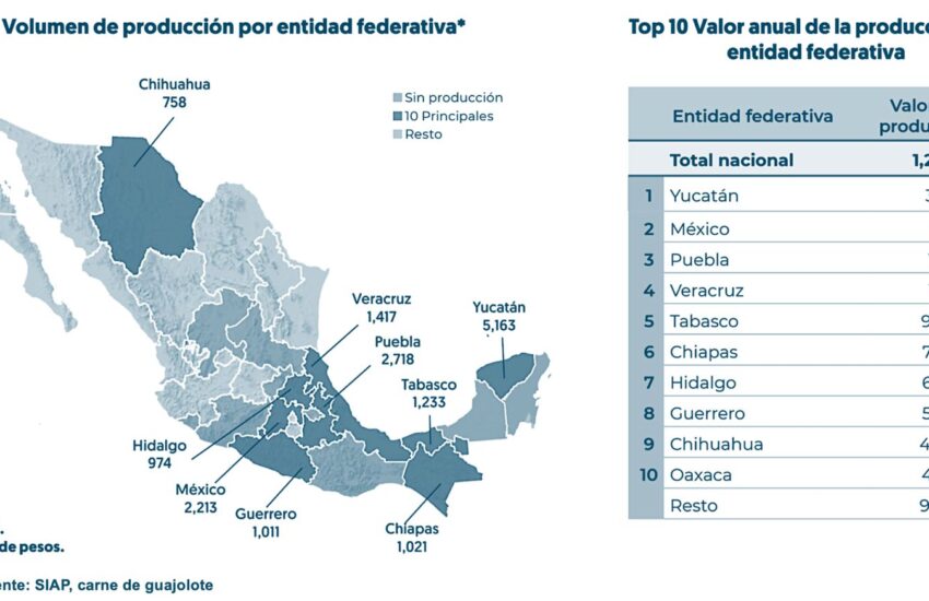 Carne de guajolote Edomex 2023