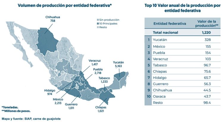 Carne de guajolote Edomex 2023