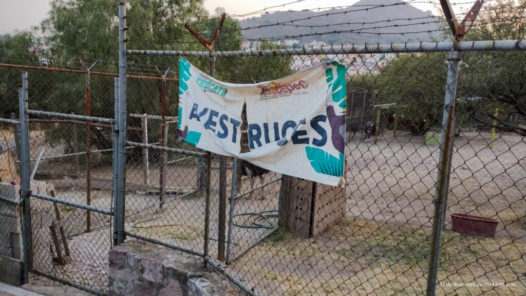 “Desaparecen” ocho antílopes, dos avestruces y un primate del parque ecológico Ehécatl, en Ecatepec