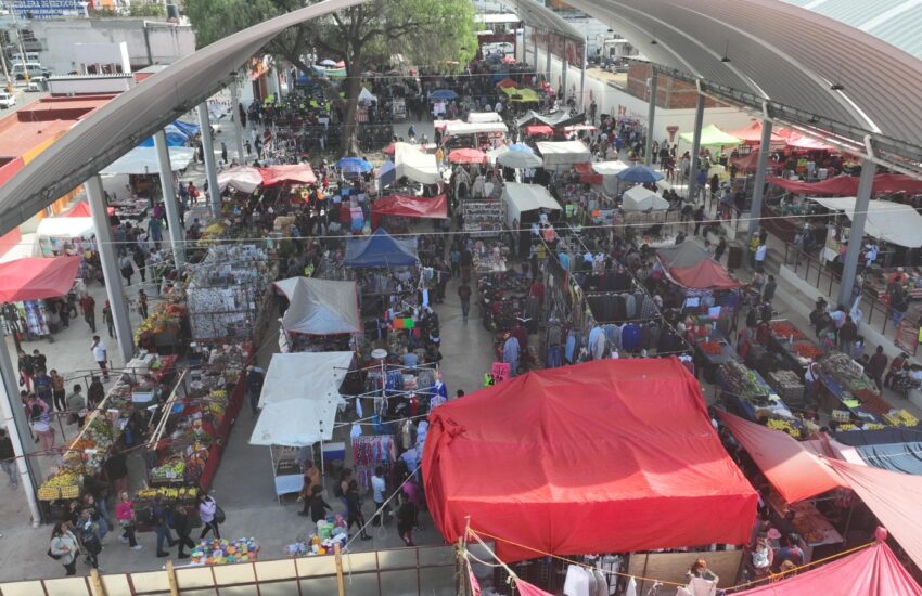 Bazar abejas Tecámac