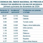 Incidencia-1qDIC24