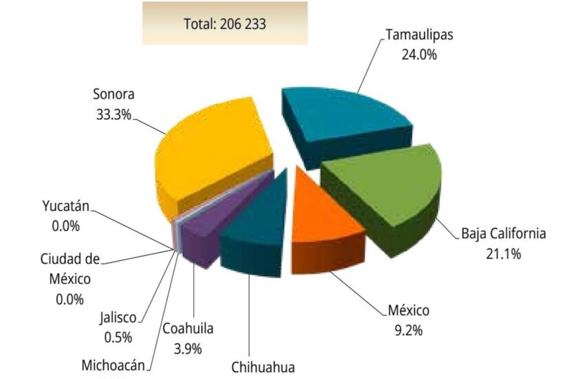 Repatriados 2024