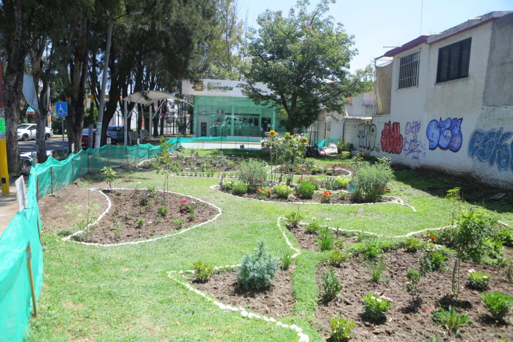 Un adolescente, principal promotor del Jardín Polinizador más grande de Ecatepec