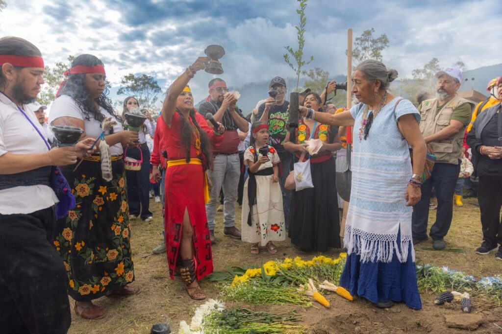 Coacalco se une por la Madre Tierra: más de 2 mil árboles nativos para la Sierra de Guadalupe