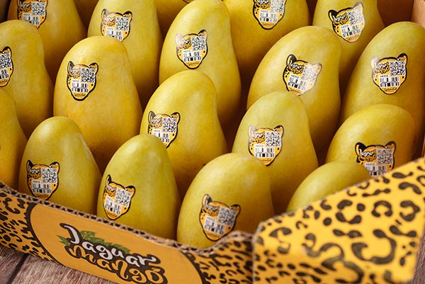 Jaguar: marca mexicana de mango que conquista el mercado con identidad y sostenibilidad/Francisco Seva Rivadullla