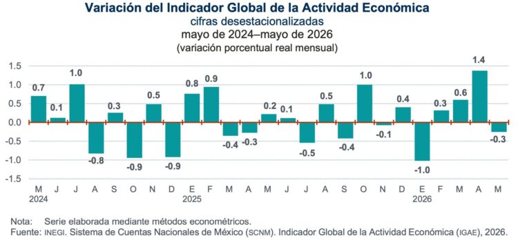 Actividad Económica