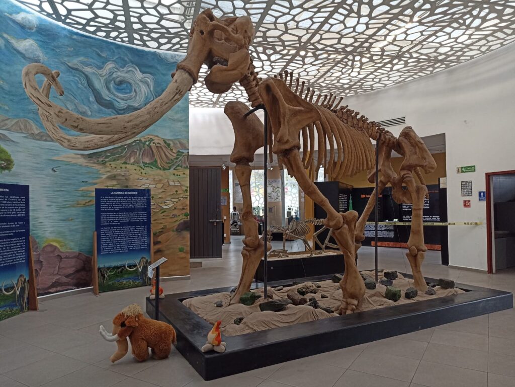 Museo de Vestigios Arqueológicos resguarda la memoria histórica de Ecatepec