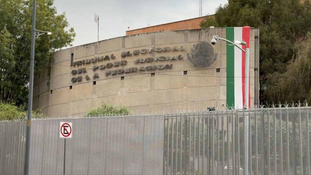 Poder Ciudadano defiende ante las cinco ponencias del TEPJF el derecho ciudadano a vigilar las elecciones