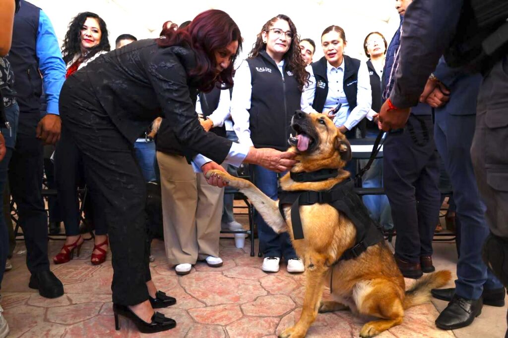 Tecámac, sede del inicio de la Semana de Reforzamiento de Vacunación Antirrábica en el Edomex